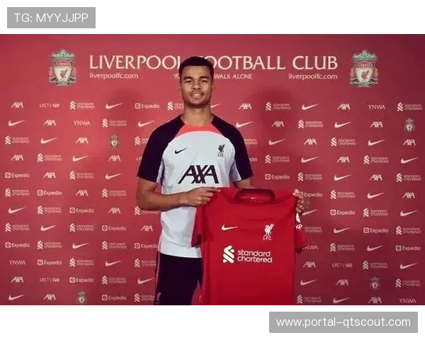 德甲冬窗转会策略：年轻球员投资与即战力量补的平衡之道