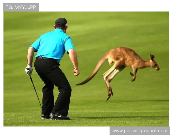 松鼠闯入球场致赫尔城队比赛暂停8分钟，工作人员未能抓住小动物